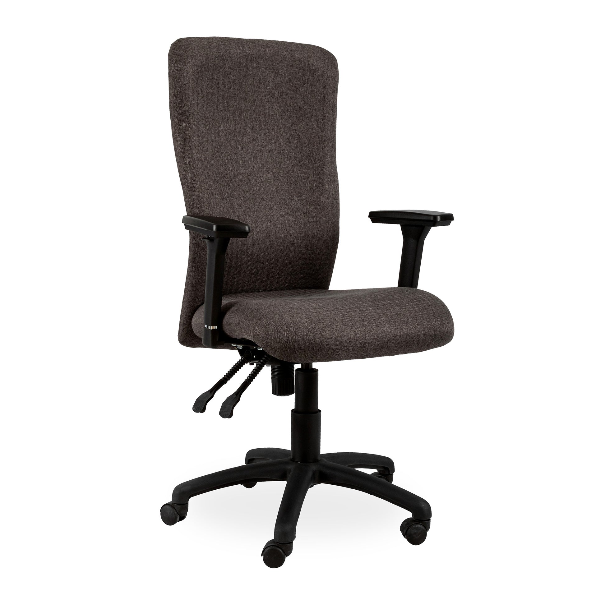 SPINE ERGONOMIC HIGH BACK
